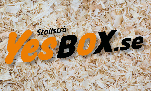 YesBox logotype
