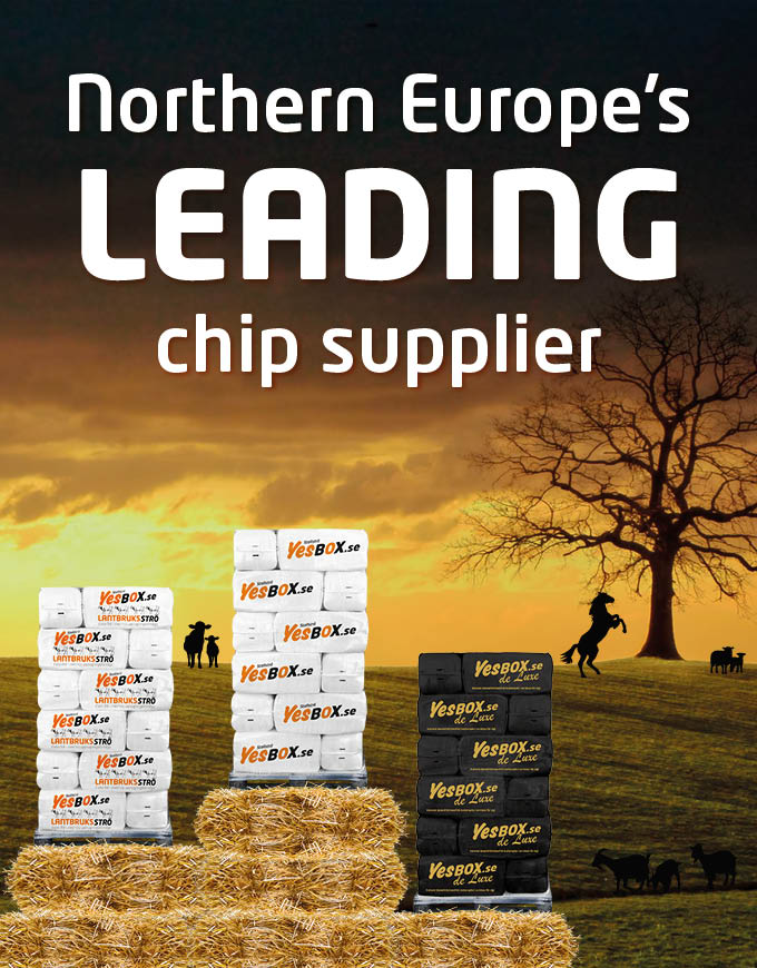 Northern Europe’s leading chip supplier